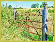 23rd Aug 2024 - Rusty Gate