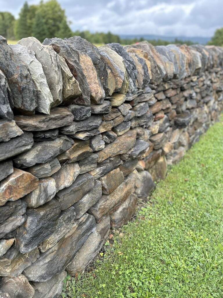 Stone Wall, North East Kingdom, VT by swagman