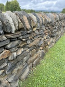 22nd Aug 2024 - Stone Wall, North East Kingdom, VT