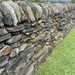 Stone Wall, North East Kingdom, VT by swagman