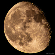 22nd Aug 2024 - Moon