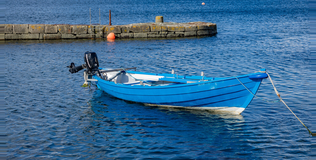 Blue at Hay's Dock by lifeat60degrees