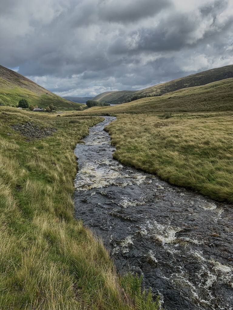 The Scottish Borders….    by billdavidson