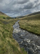 23rd Aug 2024 - The Scottish Borders….   