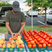 Peaches and tomatoes... by thewatersphotos