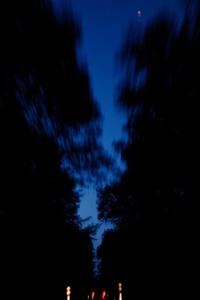 Night Drive through the Forest by vincent24