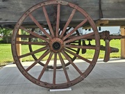 23rd Aug 2024 - 1000006895 Wagon Wheel 