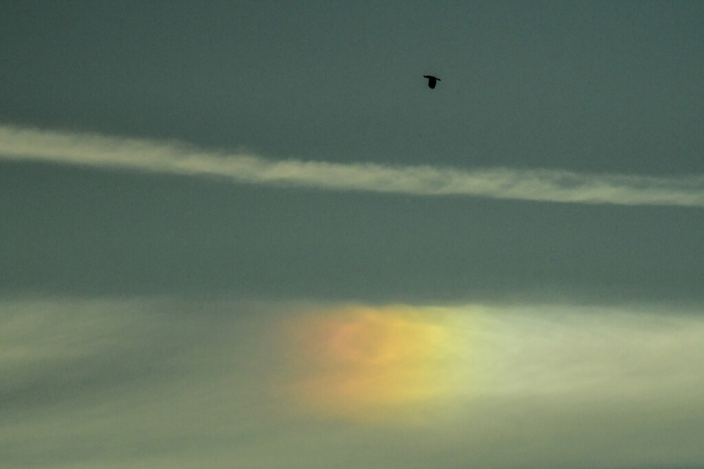 Flight Over a Rainbow Patch by kareenking