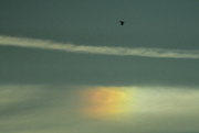 13th Jul 2024 - Flight Over a Rainbow Patch