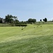 #9 at Firestone Farms Links by pej76