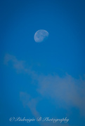 24th Aug 2024 - The Morning Moon