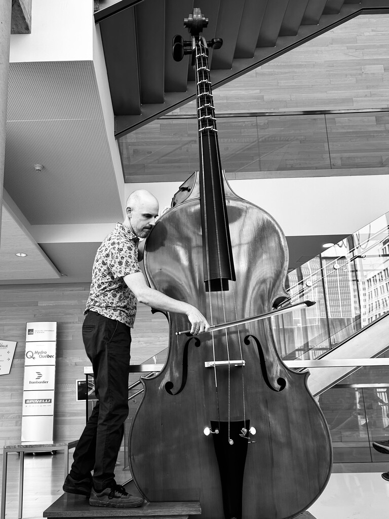 12 feet octobass by fperrault