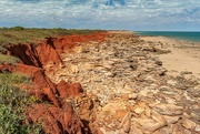 24th Aug 2024 - Broome still