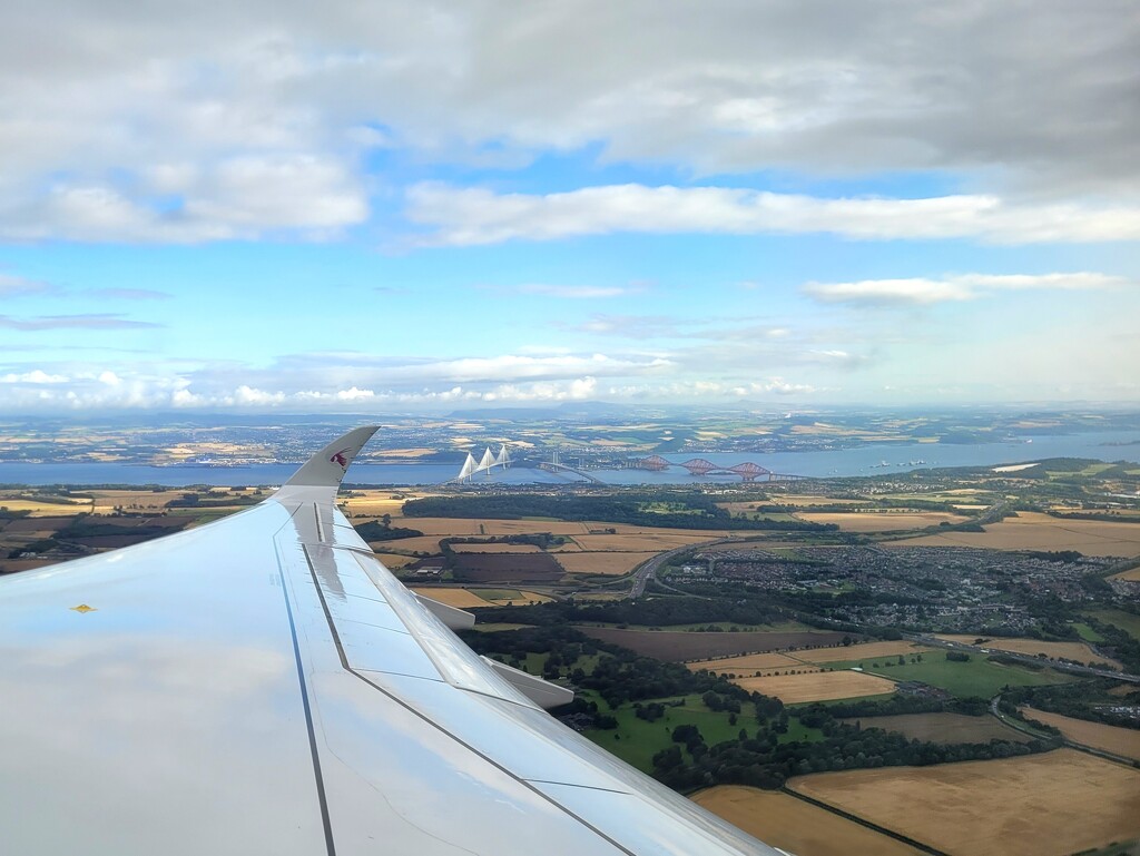 3 bridges and a wing by clearday