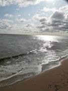 23rd Aug 2024 - Blustery Walk