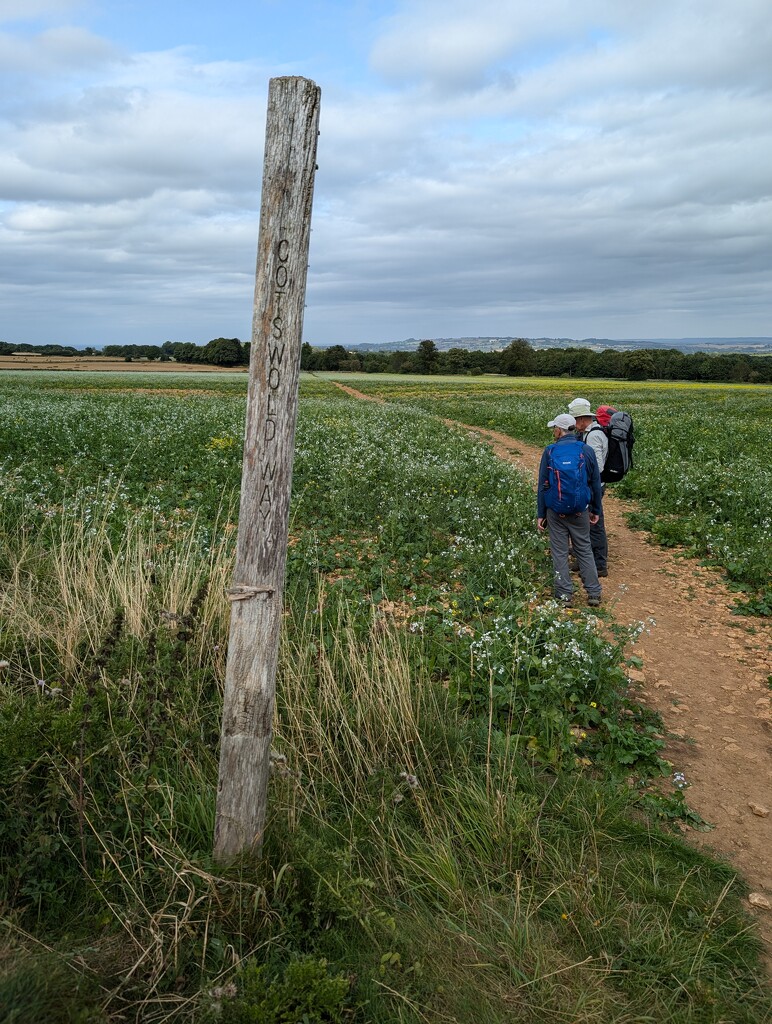 COTSWOLD WAY. by derekskinner