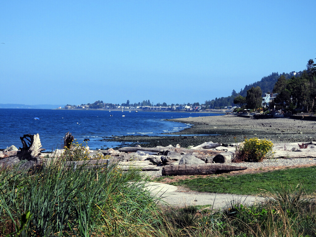 Lowman Park Beach by seattlite