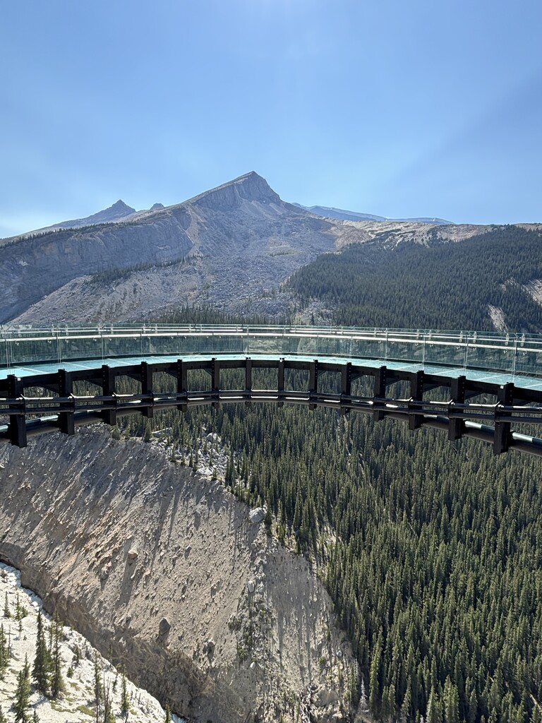 Skywalk at the Columbia Ice Fields by pirish