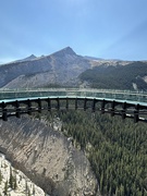 23rd Aug 2024 - Skywalk at the Columbia Ice Fields