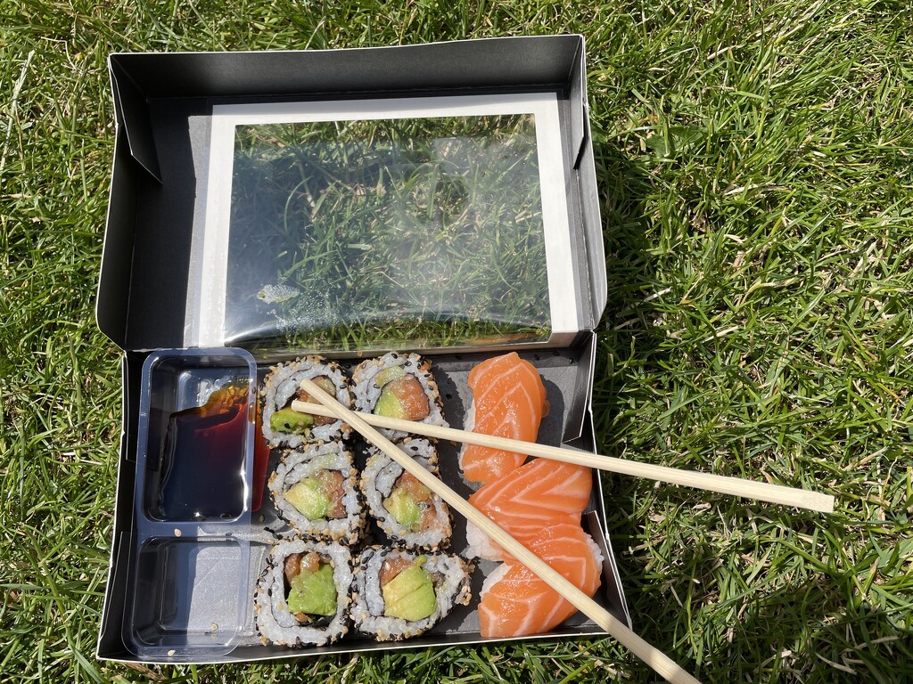 Sushi in the park by sshoe