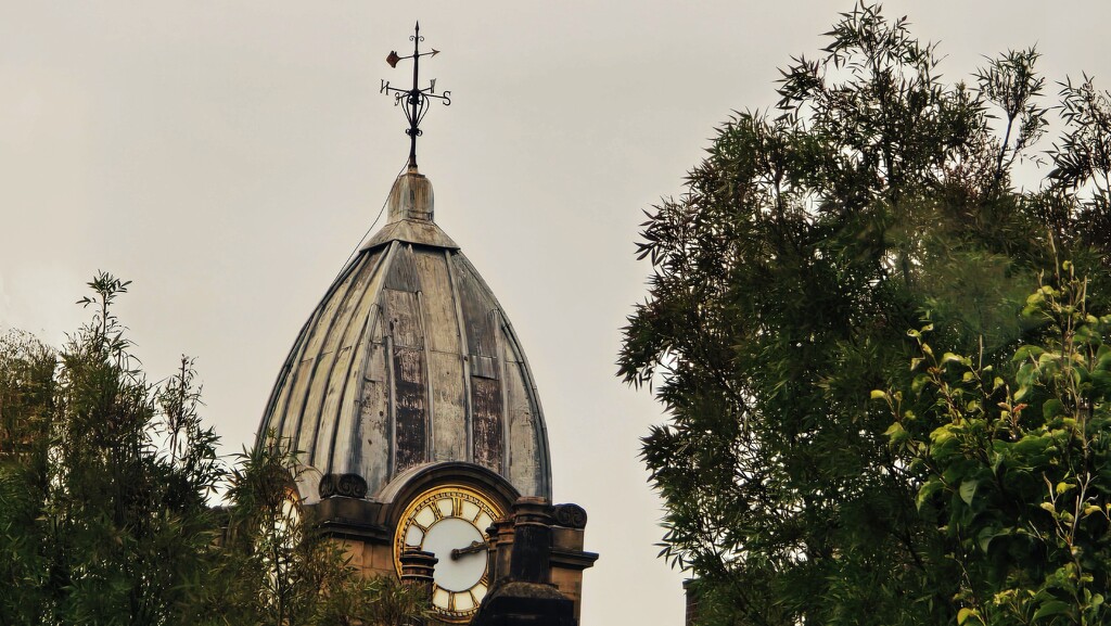 237/366 - Old Town Hall by isaacsnek