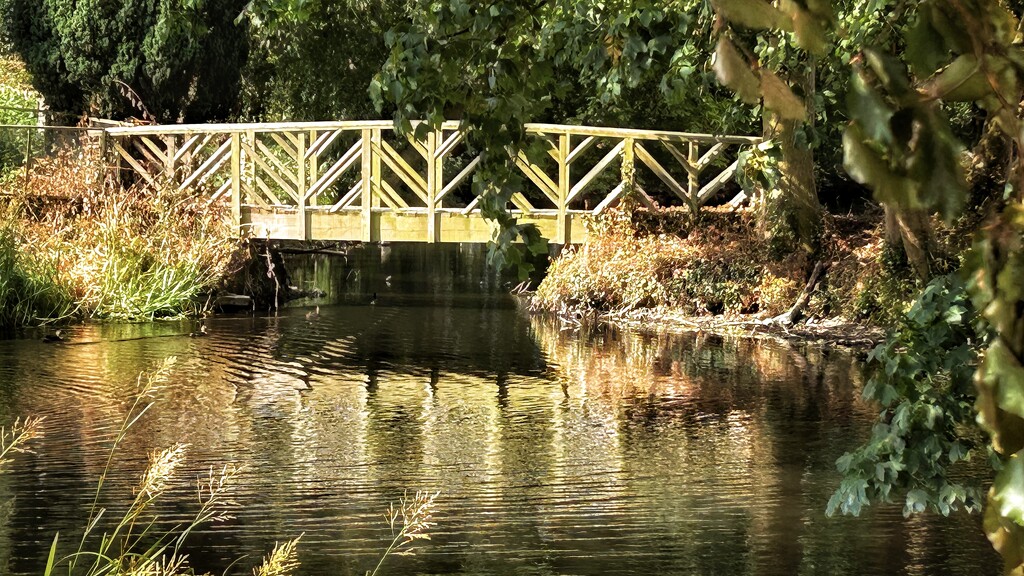 Moat Bridge by carole_sandford