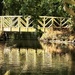 Moat Bridge by carole_sandford