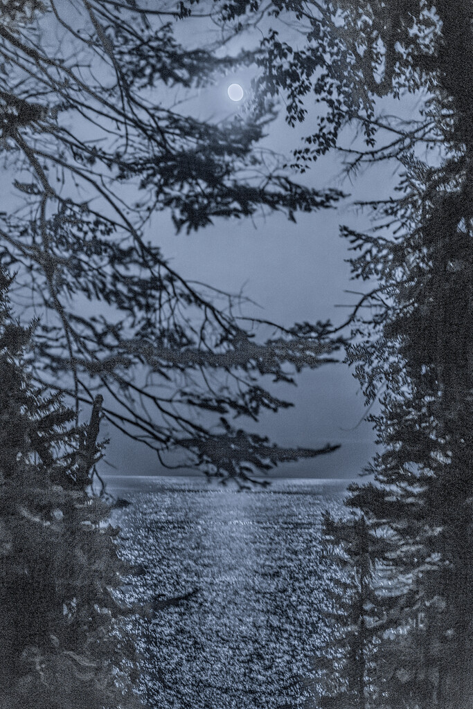 Blue Moon over Lake Superior by tosee