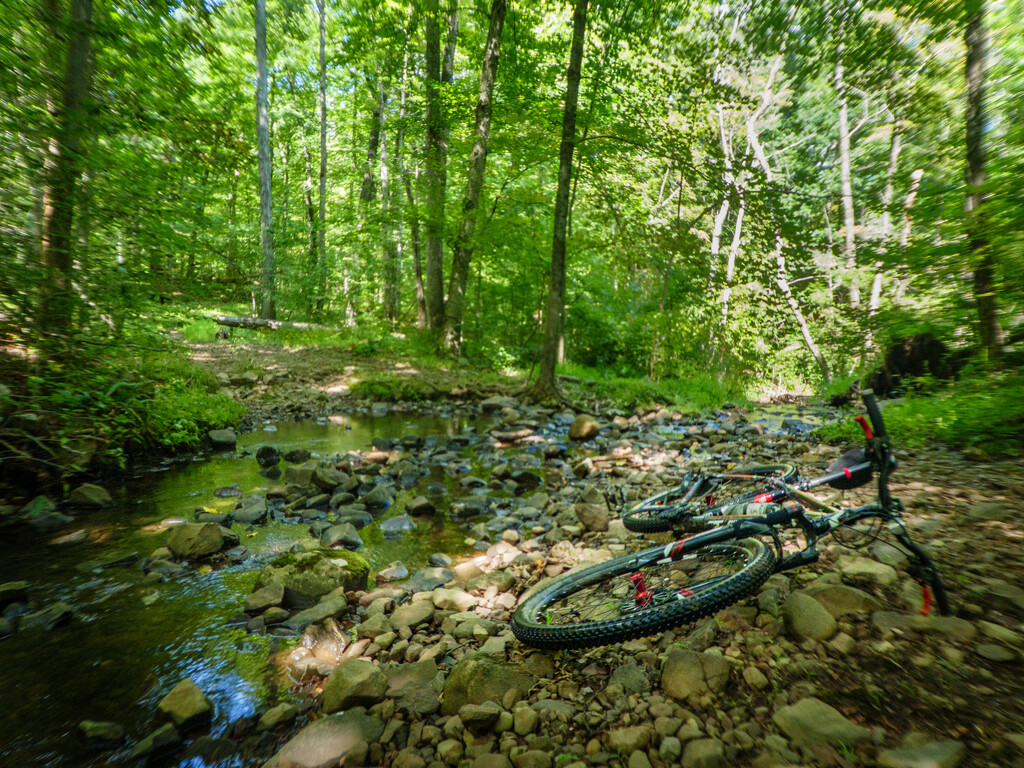 Taking a break by a stream crossing. by batfish