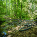 Taking a break by a stream crossing.