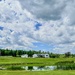 Geese Pond by corinnec