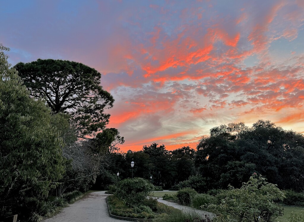 Hampton Park sunset by congaree