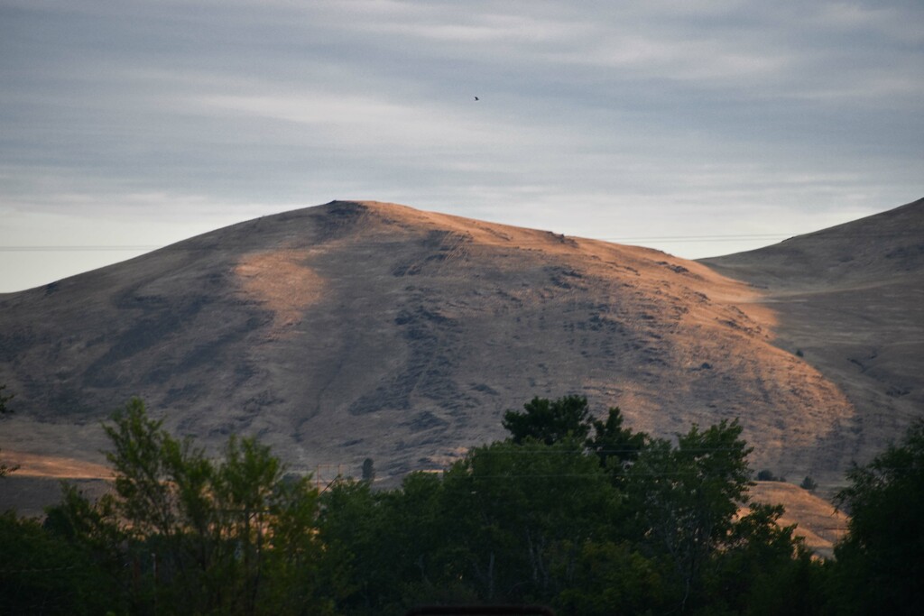 Morning Light On The Distant Hill... by bjywamer