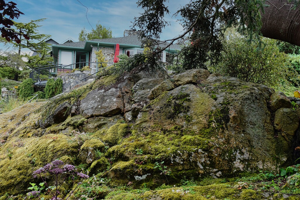 View of the House from the Garden by sandlily