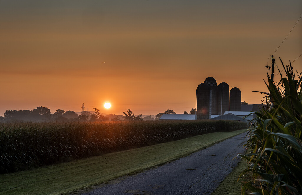 Lancaster Farm Sunrise by pdulis