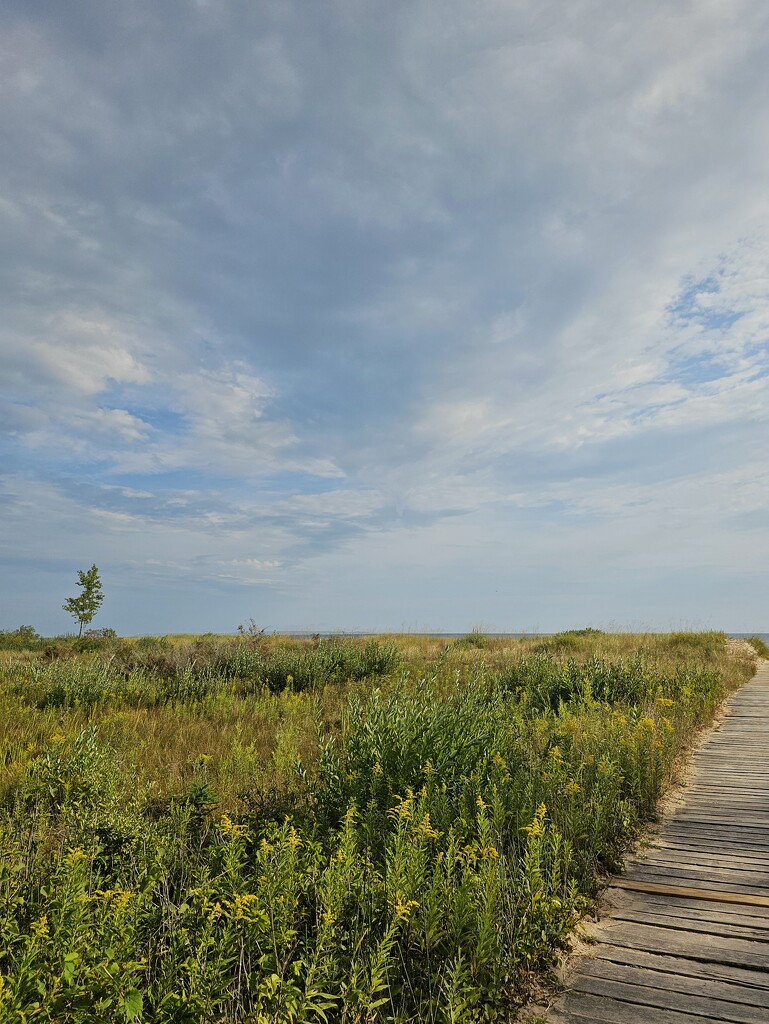 Boardwalk by edorreandresen