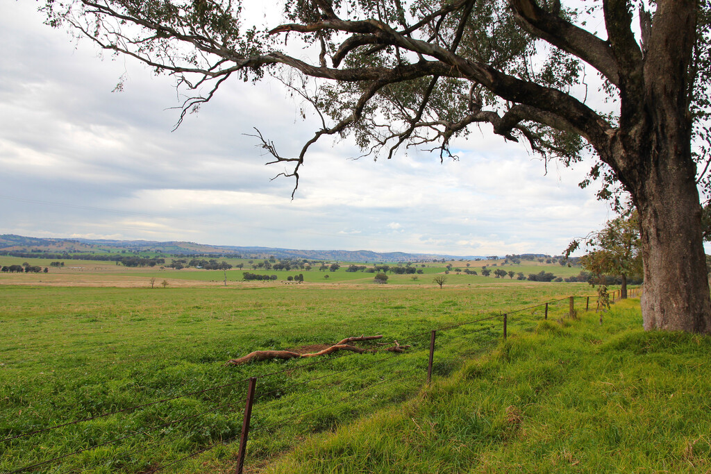 Wide open farmland by leggzy