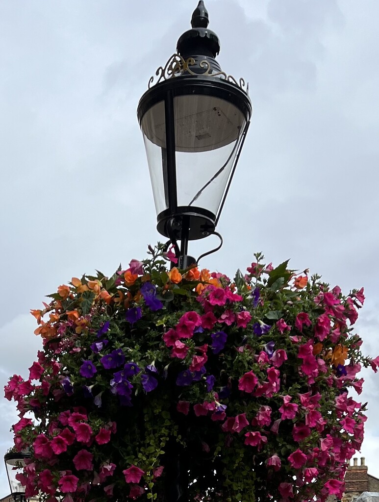 Blooming lamppost..... by anne2013