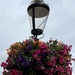 Blooming lamppost..... by anne2013