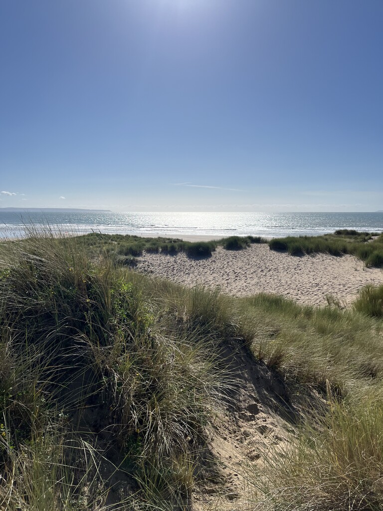 In the sand dunes at Crode Bay.... by anne2013