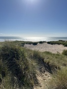 14th Aug 2024 - In the sand dunes at Crode Bay....