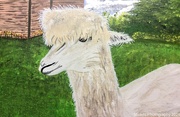 25th Aug 2024 - Alpaca (painting)