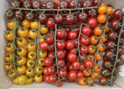 22nd Aug 2024 - Market tomatoes 