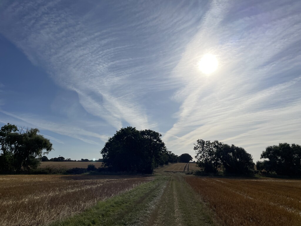 Cycling to work  by sshoe