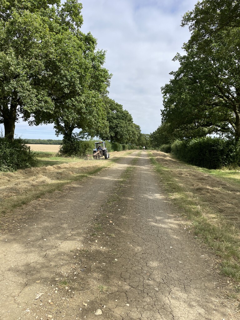 Cycling past tractor cutting grass by sshoe