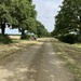 Cycling past tractor cutting grass by sshoe