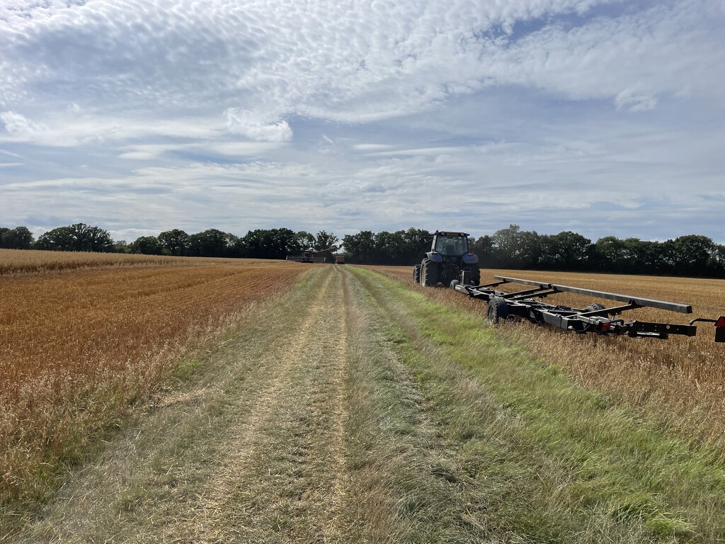 Harvesting by sshoe