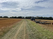 15th Aug 2024 - Harvesting