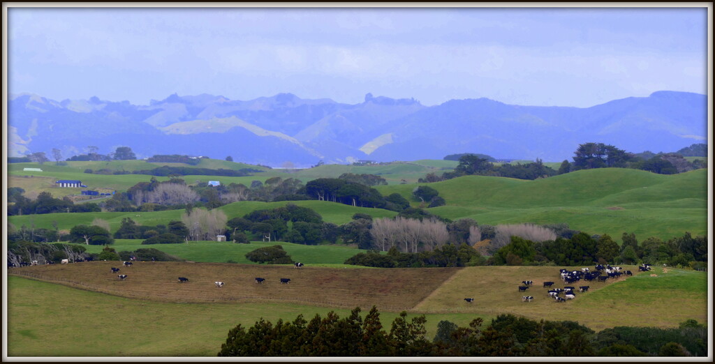 Rural View by dide