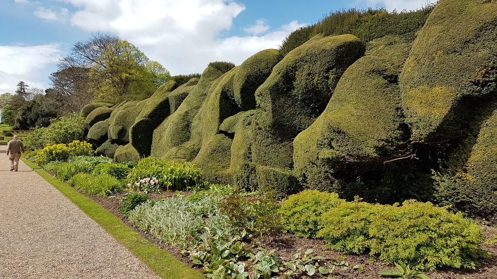 Walmer Castle gardens by bunnymadmeg